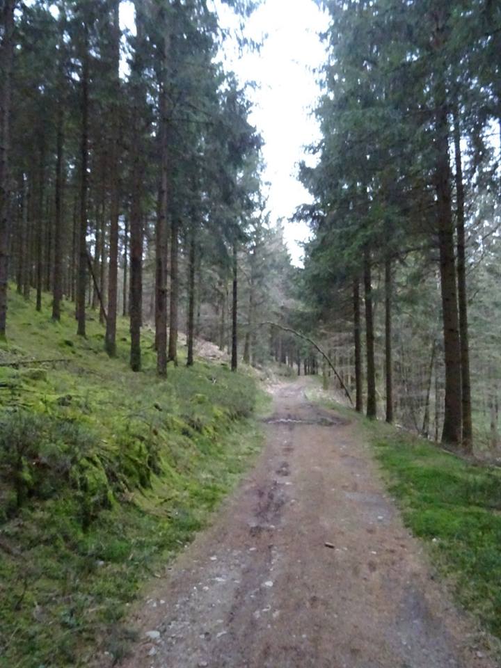 13100795_10207636287438659_5844005238108035115_n