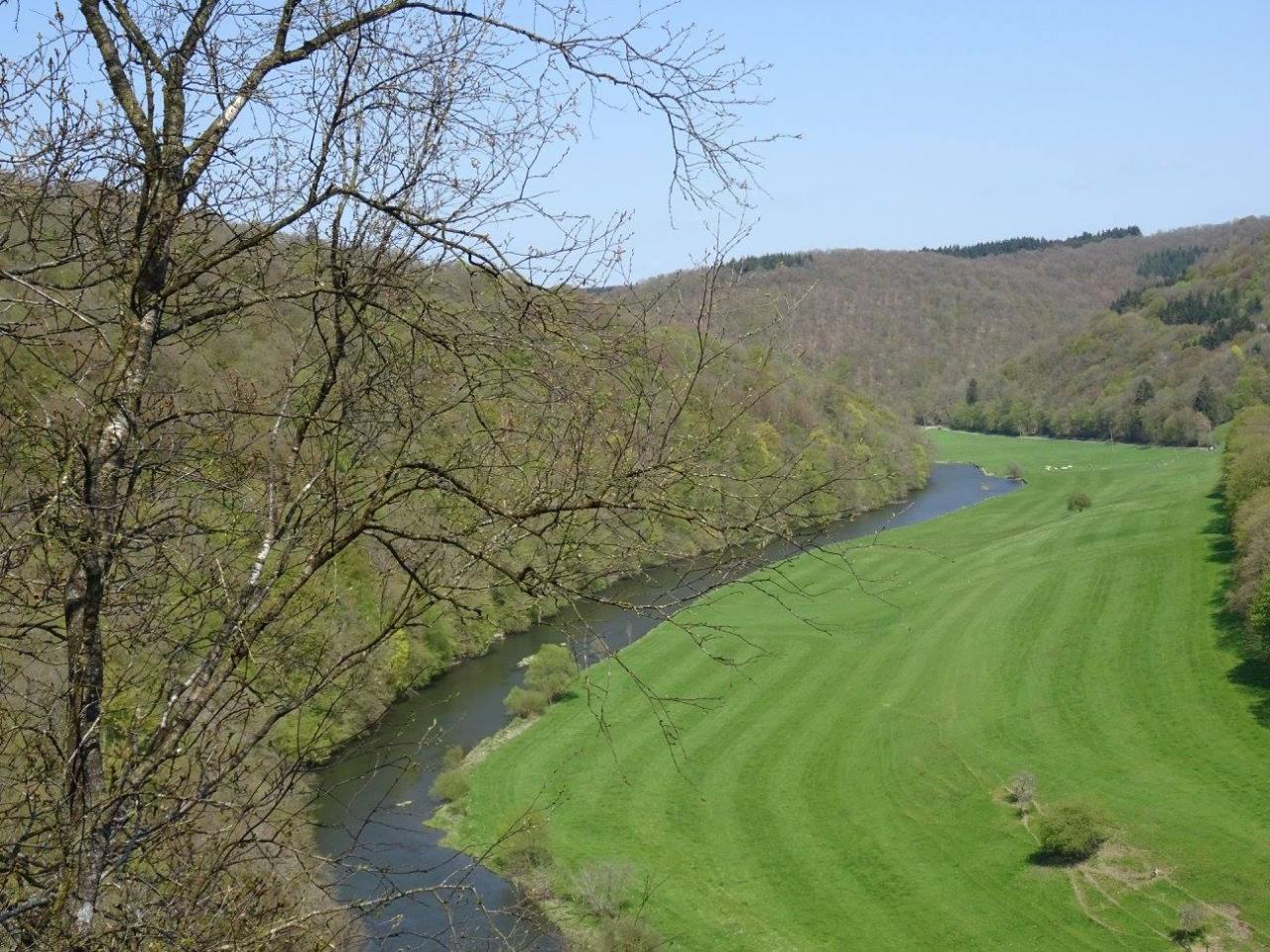 13147441_10207636304599088_7797139523248400018_o