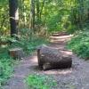 37160982_10214904497878434_2494126404011032576_n