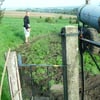 DSCF0775