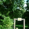 DSCF0784
