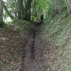 DSCF0786