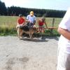 DSCN0643