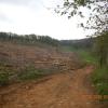 DSCN9323