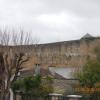 DSCN9337
