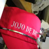 le 17 - 11 - 2012 (102)