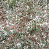 le 17 - 11 - 2012 (104)