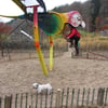 le 17 - 11 - 2012 (114)