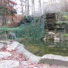 le 17 - 11 - 2012 (131)
