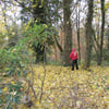 le 17 - 11 - 2012 (14)