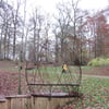 le 17 - 11 - 2012 (18)