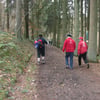 le 17 - 11 - 2012 (19)
