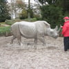 le 17 - 11 - 2012 (38)