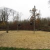 le 17 - 11 - 2012 (40)