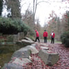 le 17 - 11 - 2012 (64)