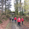 le 17 - 11 - 2012 (65)