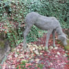 le 17 - 11 - 2012 (71)