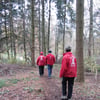 le 17 - 11 - 2012 (84)
