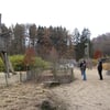 le 17 - 11 - 2012 (99)