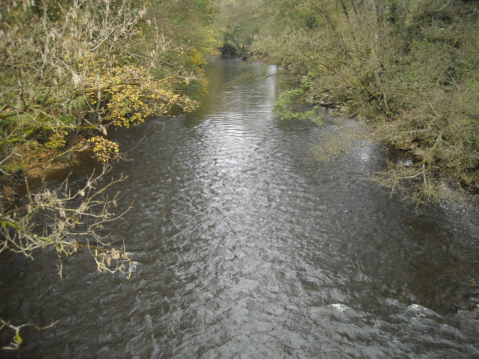 PARCOURS DES 12 KMS PAR CHRISTINE (19)